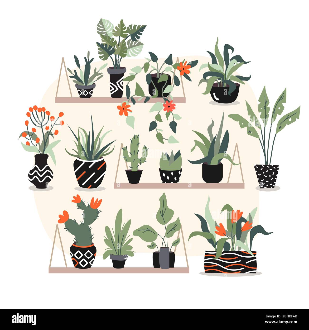 A nice and beautiful little garden at home where a lot of tropical exotic plants with leaves and rad flowers in black pots are places on the big pink Stock Vector