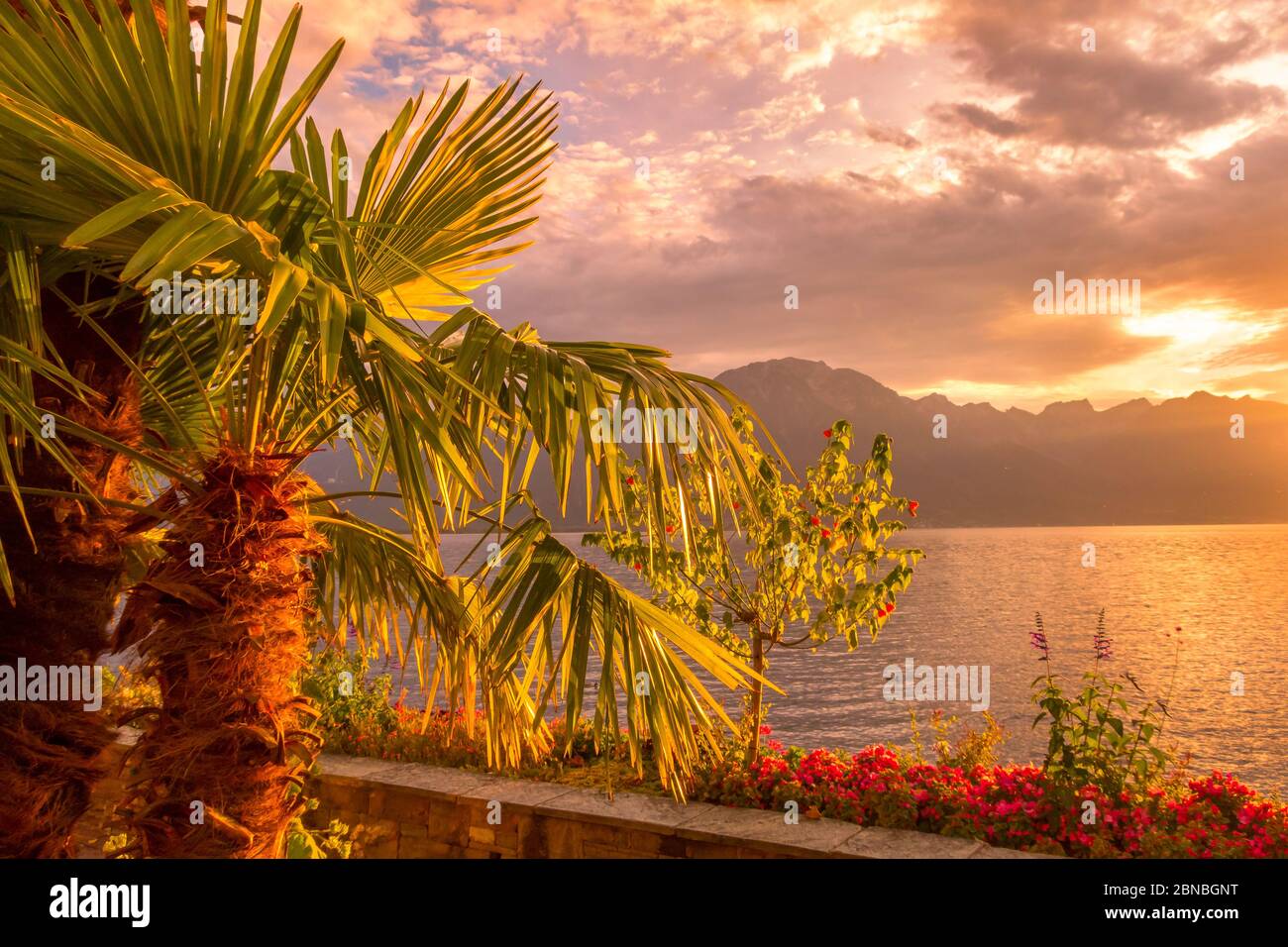 Panoramic sunset view of Lake Geneva, Switzerland with palm tree and flowers from Montreux promenade Stock Photo