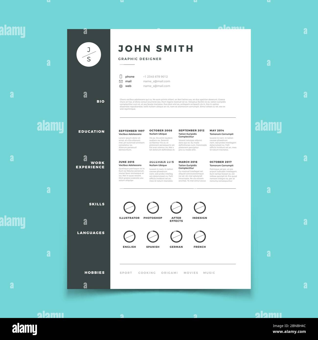 Professional cv. Resume with vitae and curriculum vector template. Curriculum vitae mockup, application cv candidate with skill education illustration Stock Vector