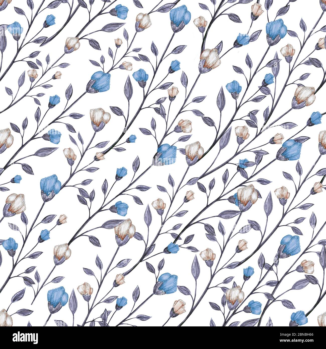 Vintage floral seamless pattern, hand drawn illustration Stock Photo ...