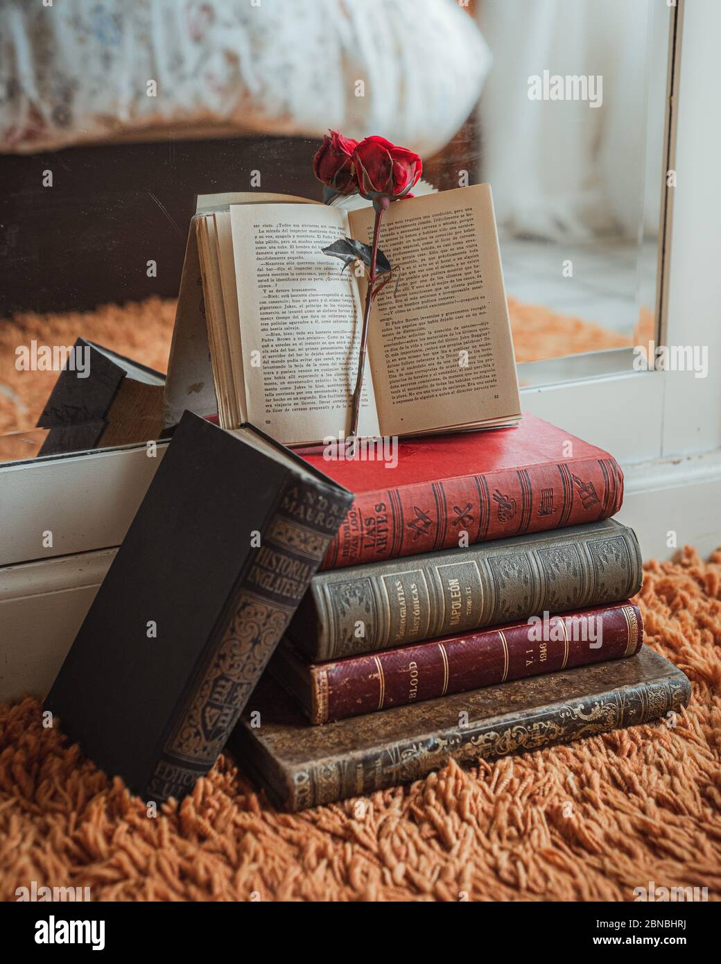 Red rose inside an open book on top of a pile of books Stock Photo
