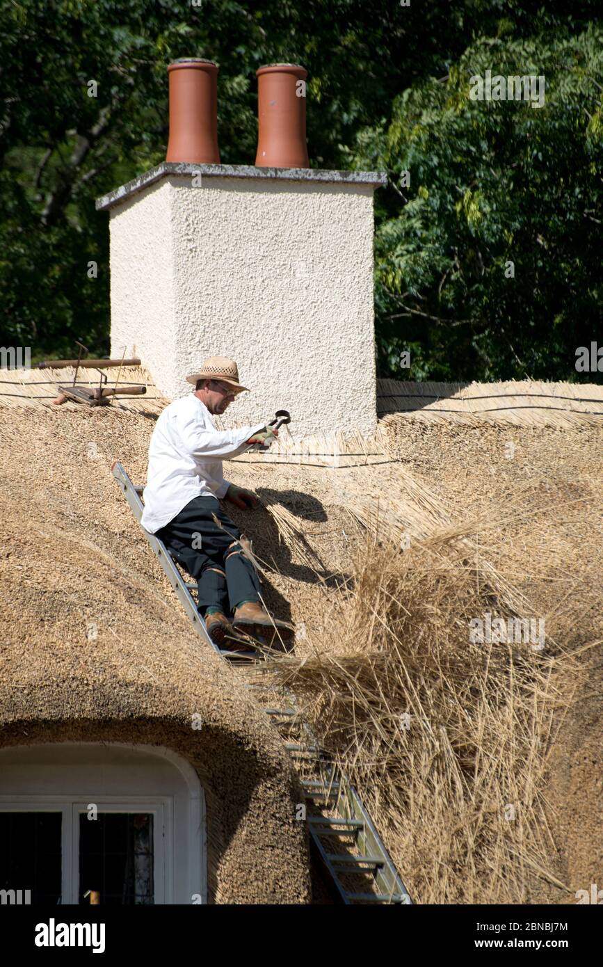 Thatcher on ladder replacing straw on thatched roof, Fortingall, Glen Lyon, Perthshire, Scotland, UK Stock Photo