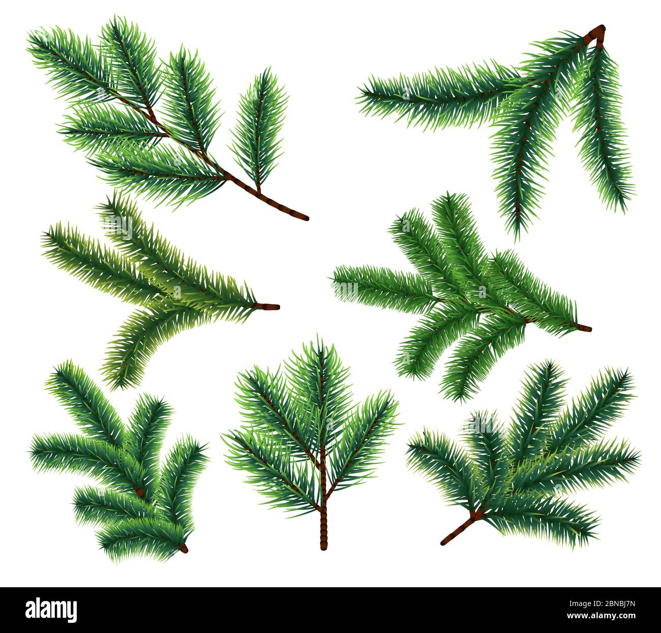 Pine tree branches. Christmas fir tree branch. Vector xmas decorarion elements. Illustration of pine tree, fir evergreen branch Stock Vector