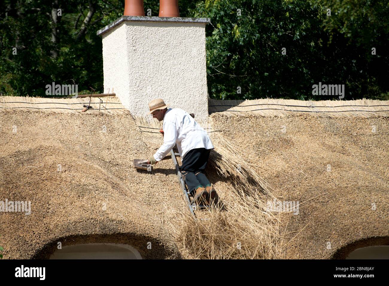 Thatcher on ladder replacing straw on thatched roof, Fortingall, Glen Lyon, Perthshire, Scotland, UK Stock Photo