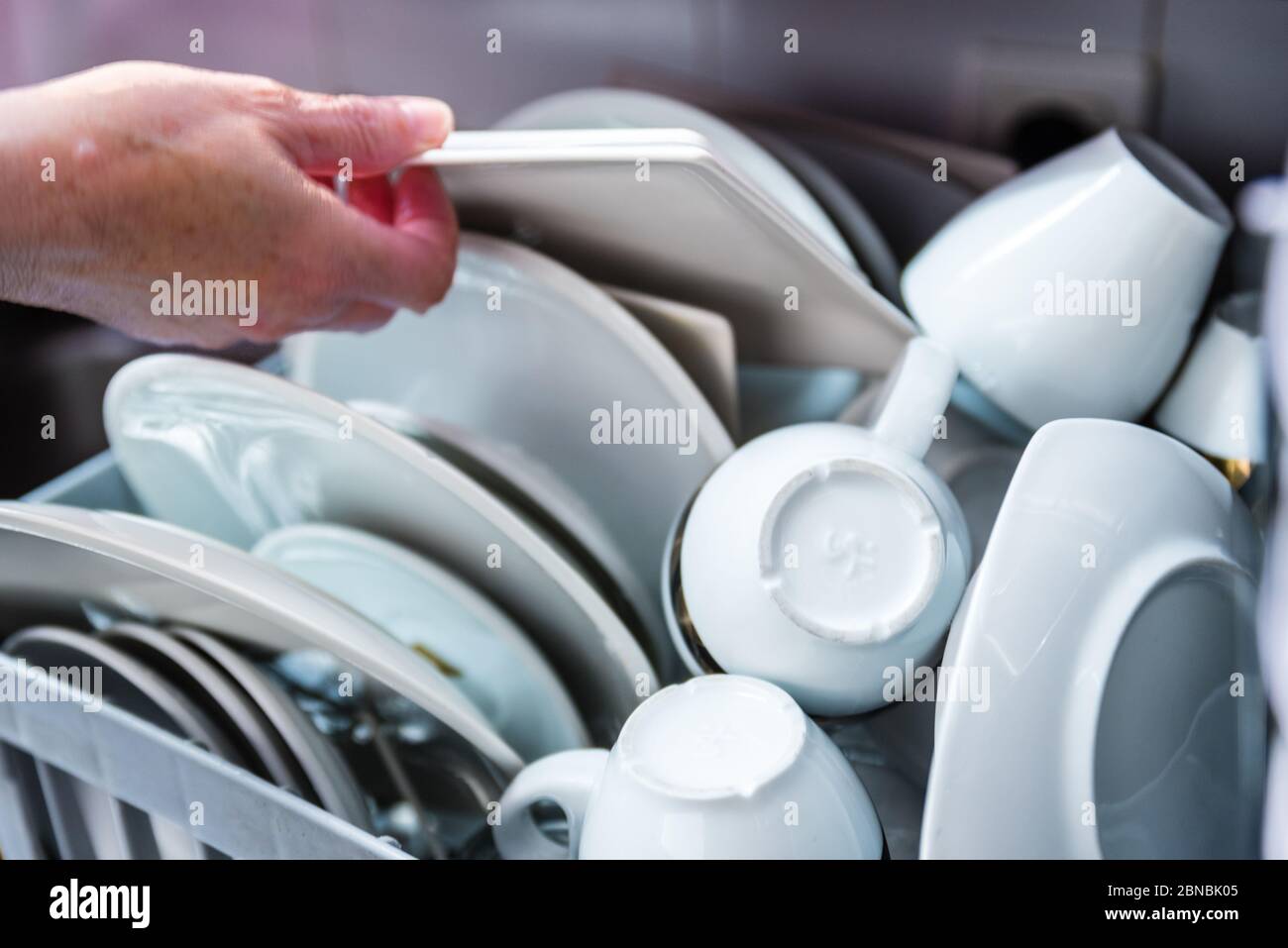 Loading dishwasher hires stock photography and images Alamy