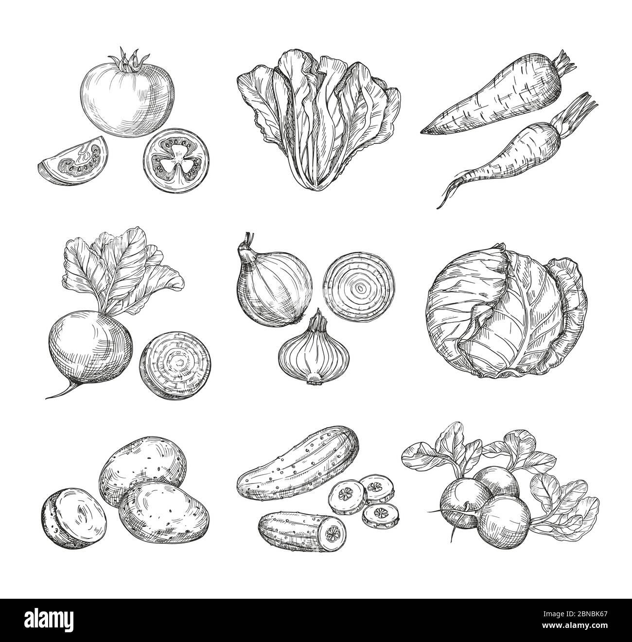Sketch vegetables. Fresh tomato, cucumber and carrots, potatoes. Hand drawn onions, radish and cabbage. Garden vegetable vector set of tomato and potato, organic fresh food illustration Stock Vector