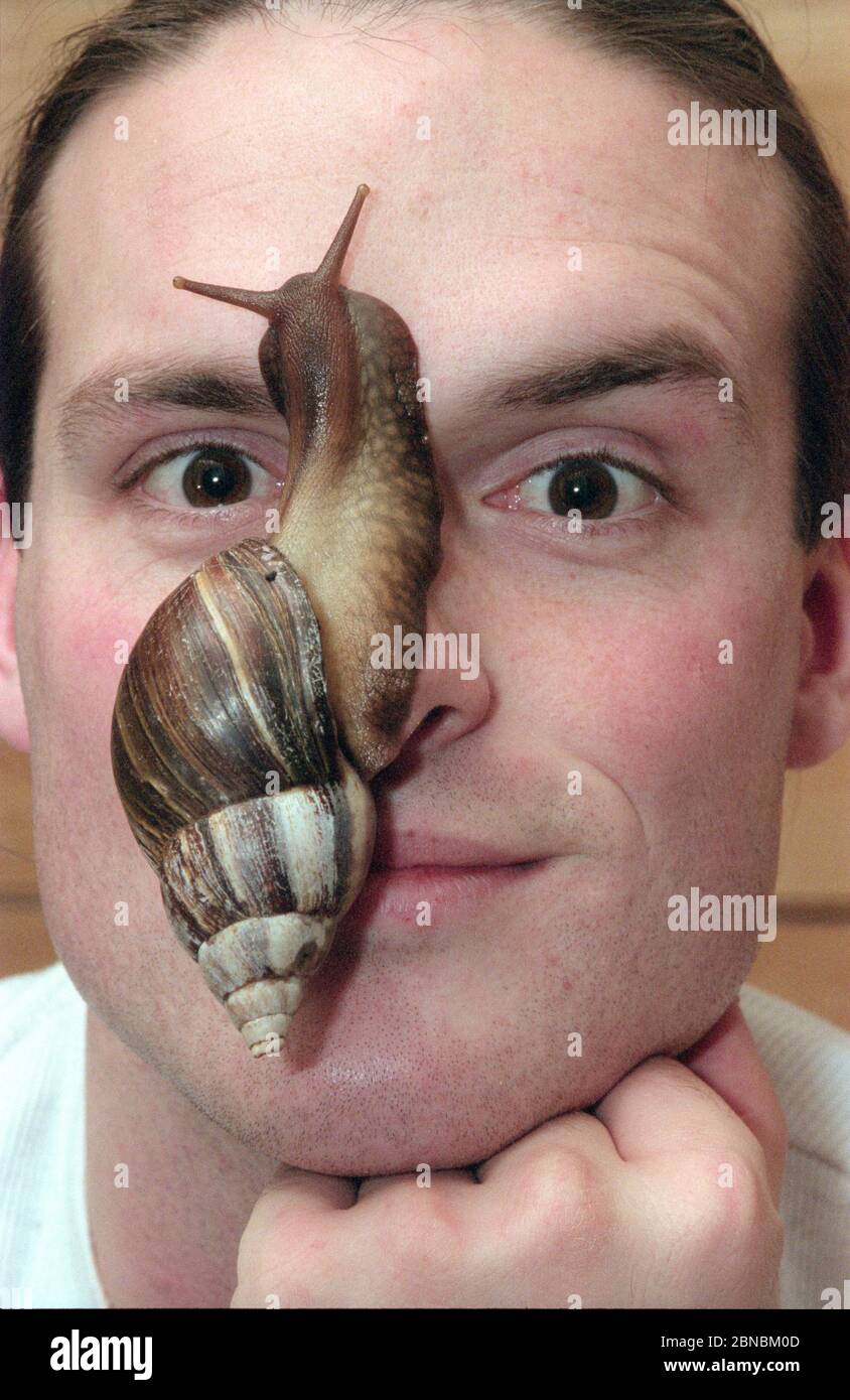 Wildlife presenter Nick Baker with giant snail at home 1998 Stock Photo Alamy