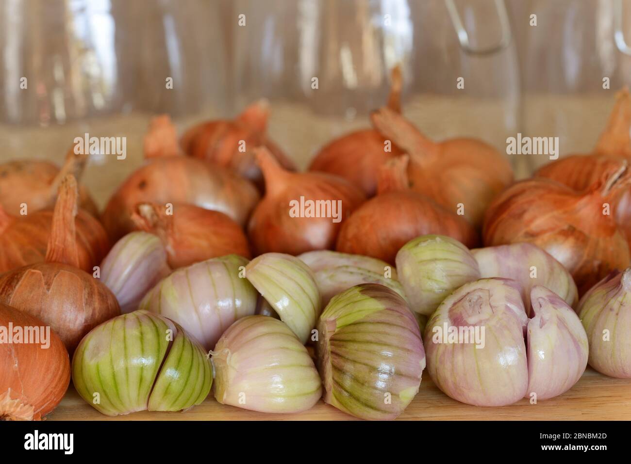Allium cepa (Aggregatum Group)  'Red Sun'  Shallots  Ready for pickling some peeled Stock Photo