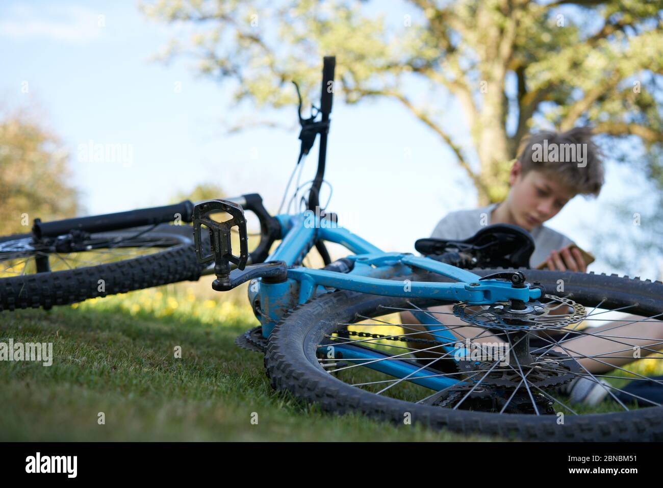 Boy hanging out on a meadow with his smartphone next to his blue bicycle, in the background a tree Stock Photo