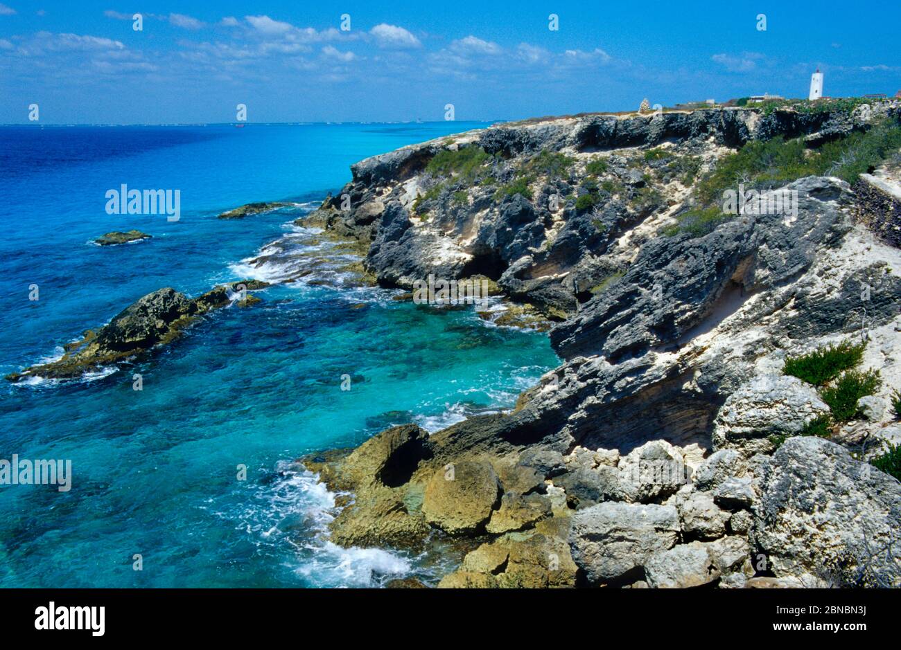 Isla Mujeres. Punta Sur reef. Riviera Maya. Mexico. Stock Photo