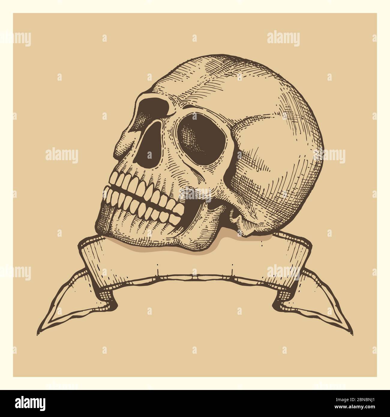 Human skull sketch with ribbon banner - vector vintage style label or poster illustration Stock Vector