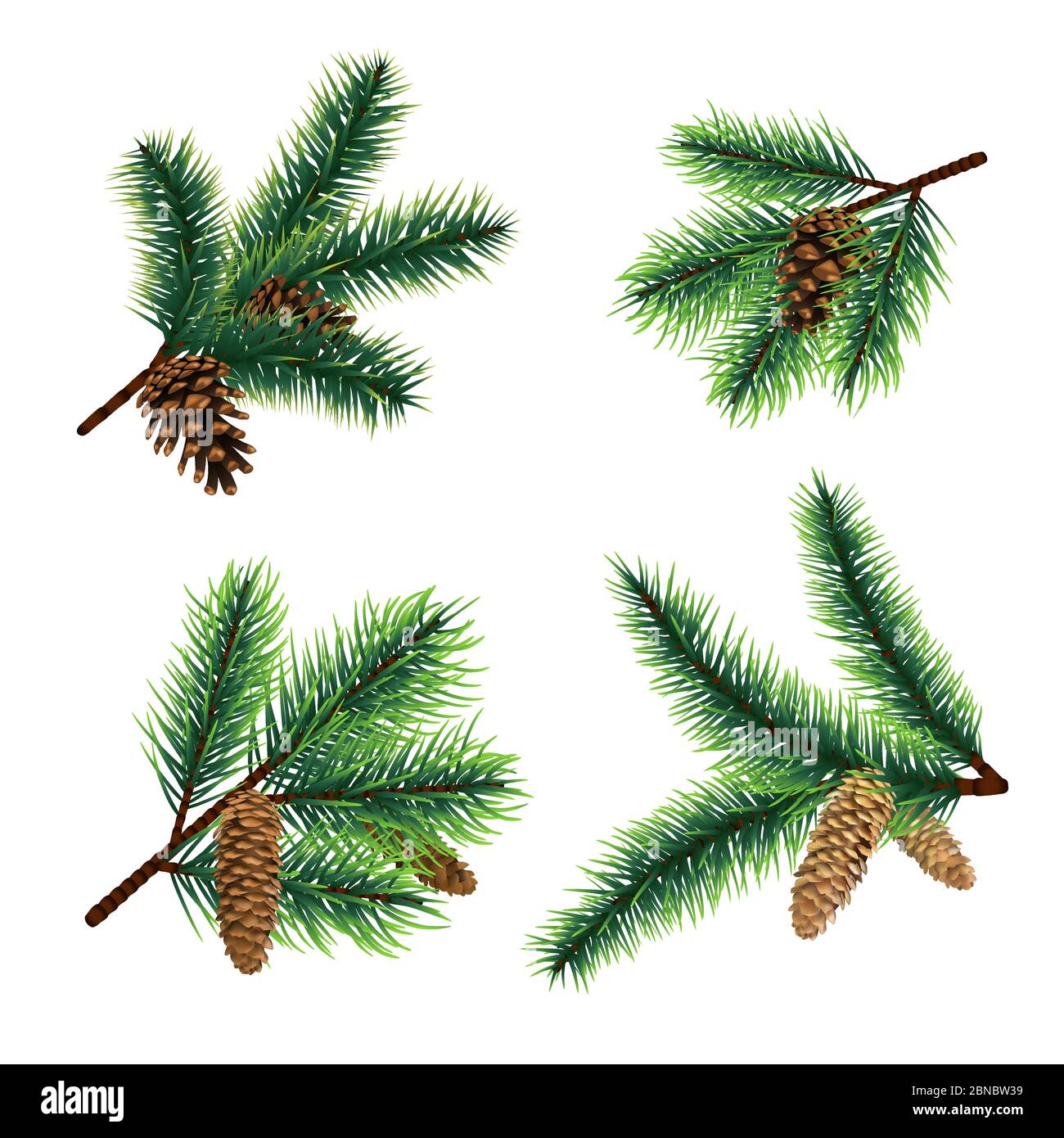 Fir branch. christmas tree branches with cones. Pine xmas vector decoration. Illustration of fir-cone decor, fir-tree needle Stock Vector