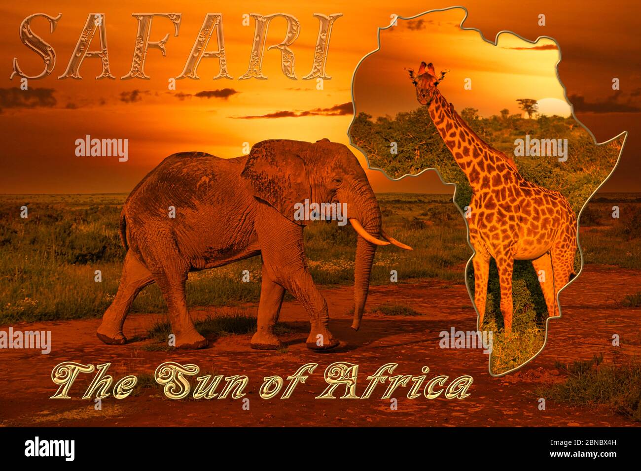 Beautiful pictures of Africa sunset and sunrise with elephants and ...