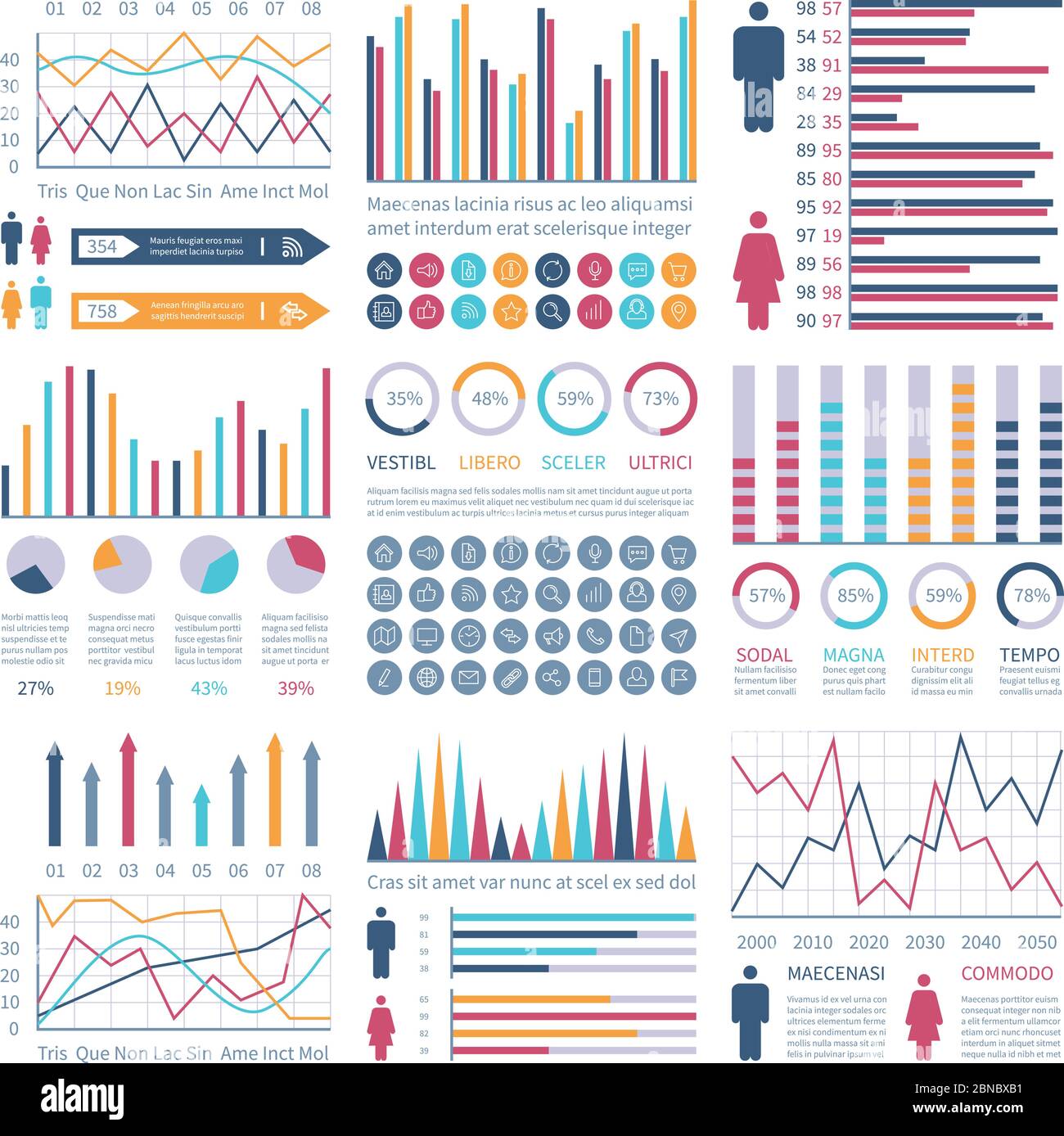 Infographic charts. Financial flow chart trends graph. Population infocharts. Statistics bar diagram. Presentation vector infographics. Illustration of gender stats chart and graph, info visualization Stock Vector