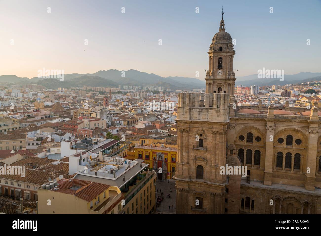 Malaga European Judo Cup 2026: Complete Results and Medalists Malaga European Judo Cup 2026: Complete Results and Medalists
