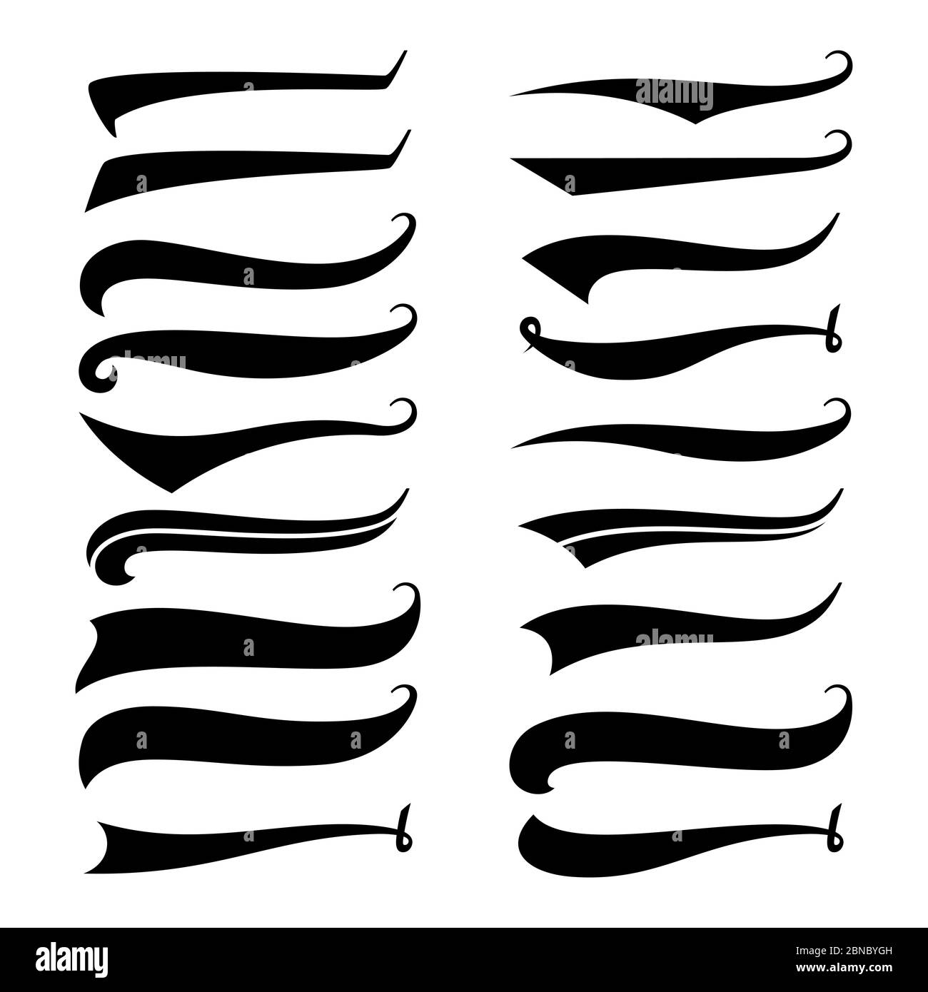 Typographic swash and swooshes tails retro Vector Image
