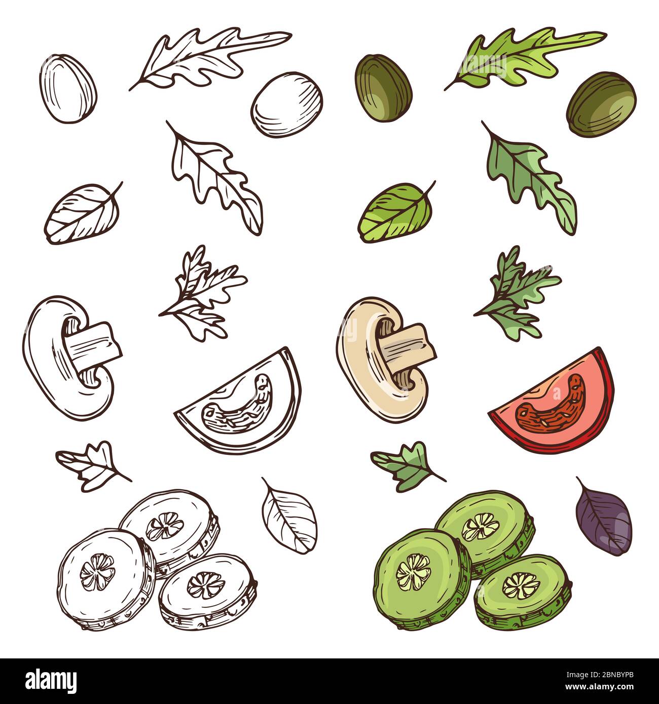 Hand drawn vegan salad ingredients. Tomato, cucumber, olives, greens isolated on white background. Vector illustration Stock Vector
