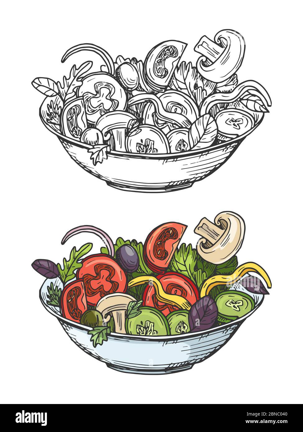 Big bowl of green salad with tomatoes, cucumbers, olives, onion, mushrooms. Vector illustration isolated Stock Vector
