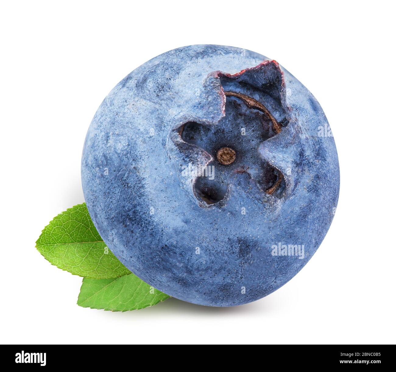 Blueberries isolated on white background Stock Photo