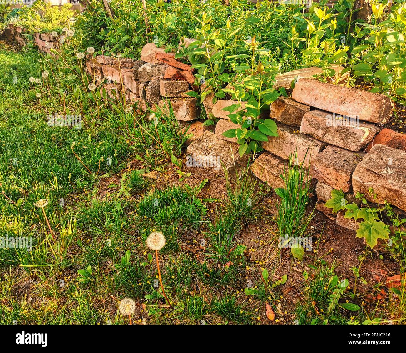 Remains old brick garden wall hi-res stock photography and images - Alamy