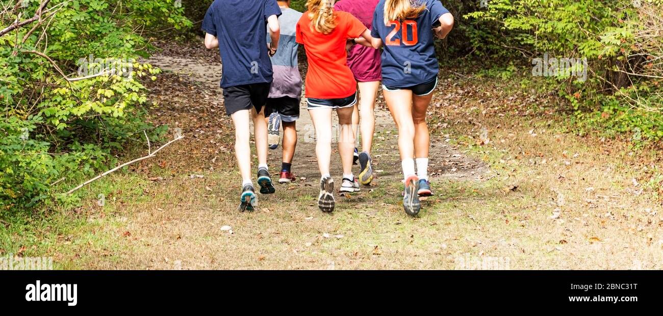 A high school cross country team has runners running in the woods