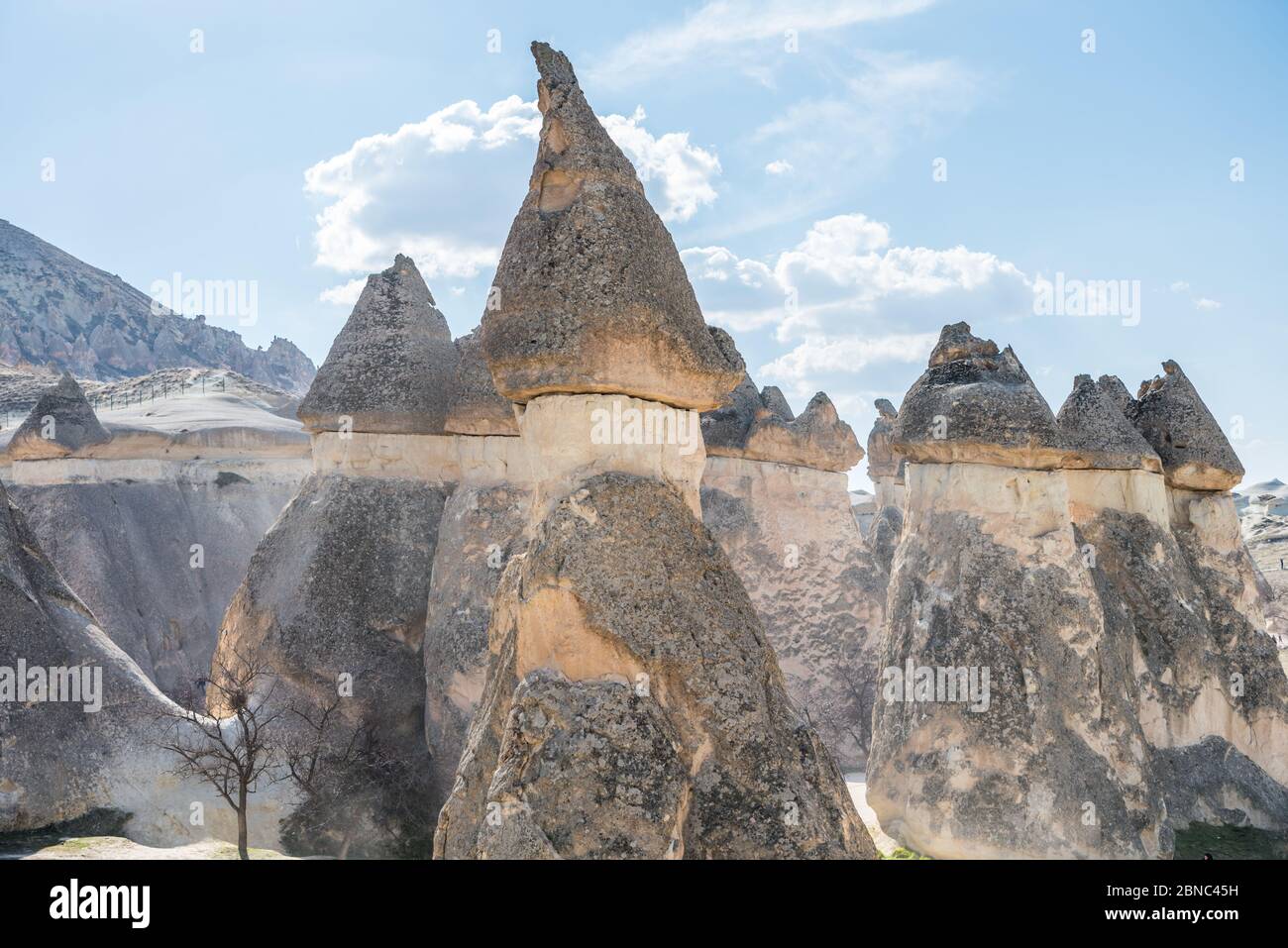 Fairy chimneys in the Pasabag velley or Monks Valley, with Highly ...