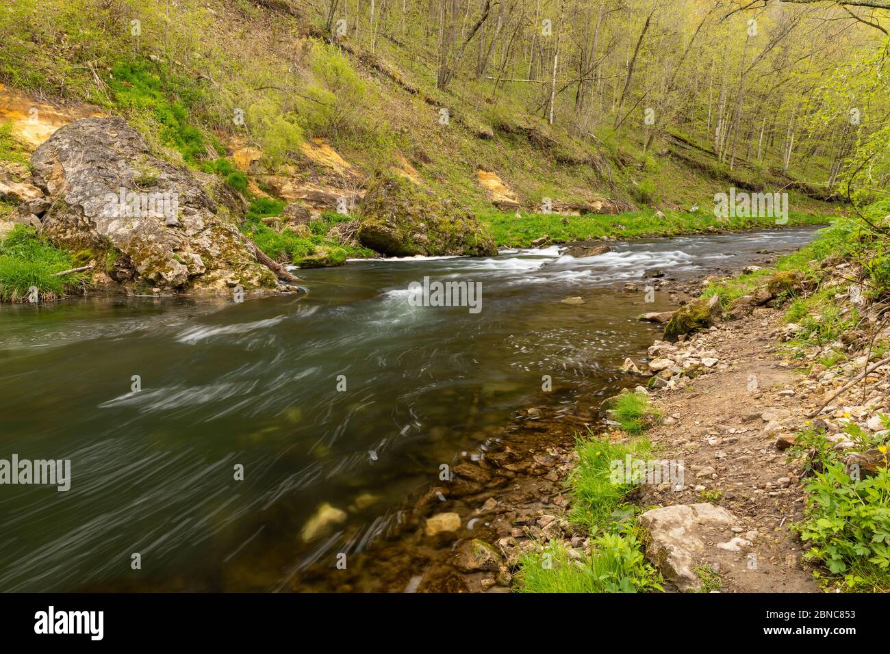 Woods Rive Spring Whitewater River In Spring - A scenic river in the woods during spring ...