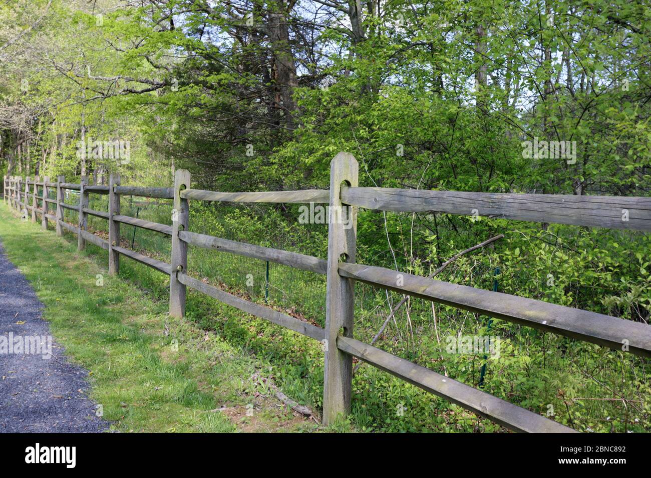 A wide view of the fence. Stock Photo