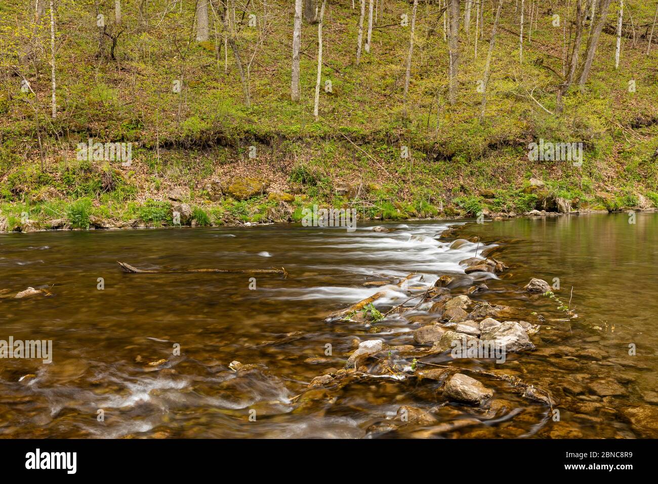 Woods Rive Spring A river in the woods during spring with a rock dam Stock Photo - Alamy