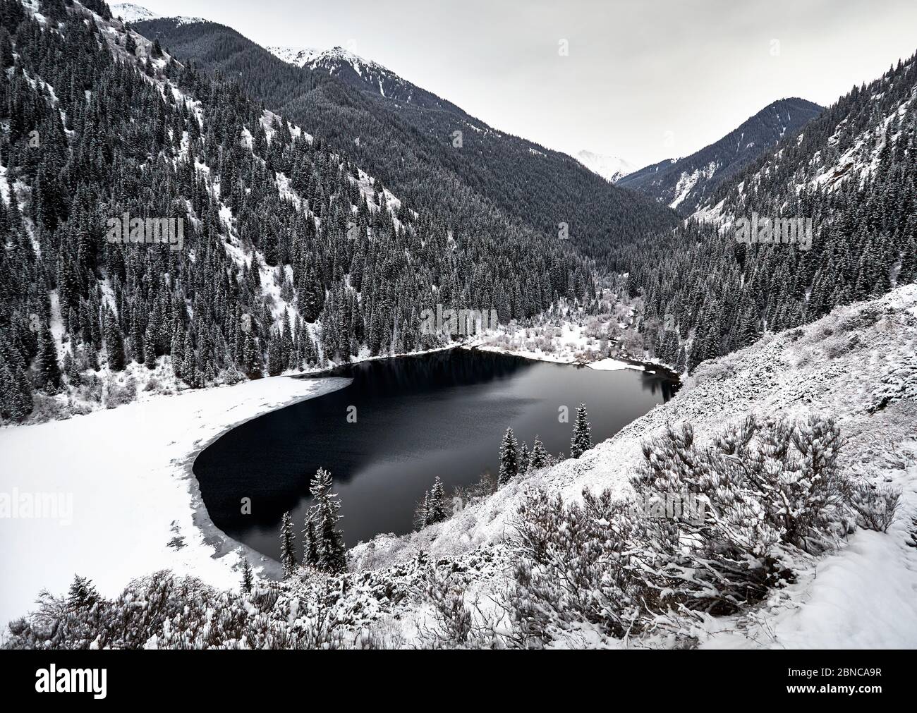 Aerial view of Kolsay mountain lake and snowy forest at winter time in the mountains of Kazkakhstan. Stock Photo