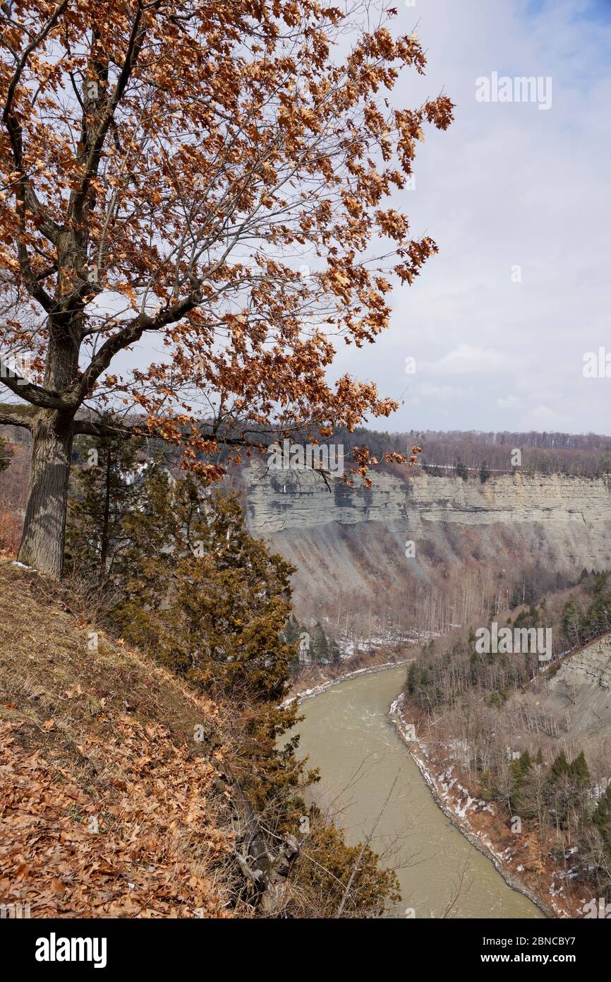 Letchworth State Park in Upstate New York in winter Stock Photo Alamy