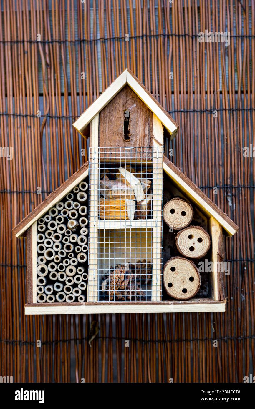 Insect house or bug hotel in a back garden, UK Stock Photo