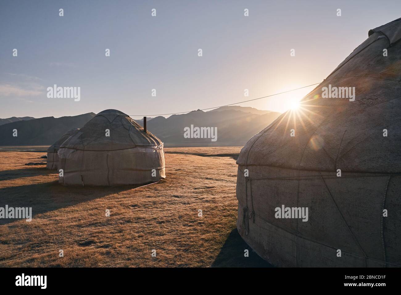 Yurt nomadic houses camp at mountain valley at sunrise in Central Asia Stock Photo