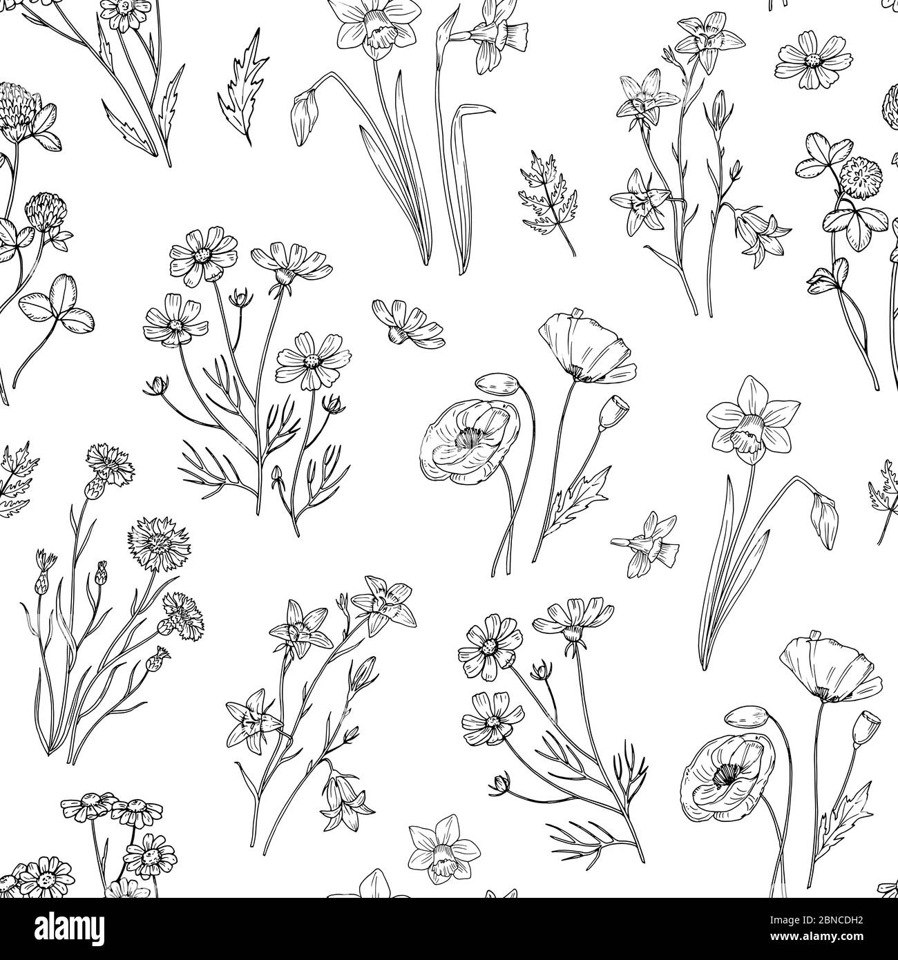 Wild flower pattern. Floral seamless wallpaper with wildflowers. Vintage fabric vector background. Illustration of seamless pattern wild flower summer Stock Vector
