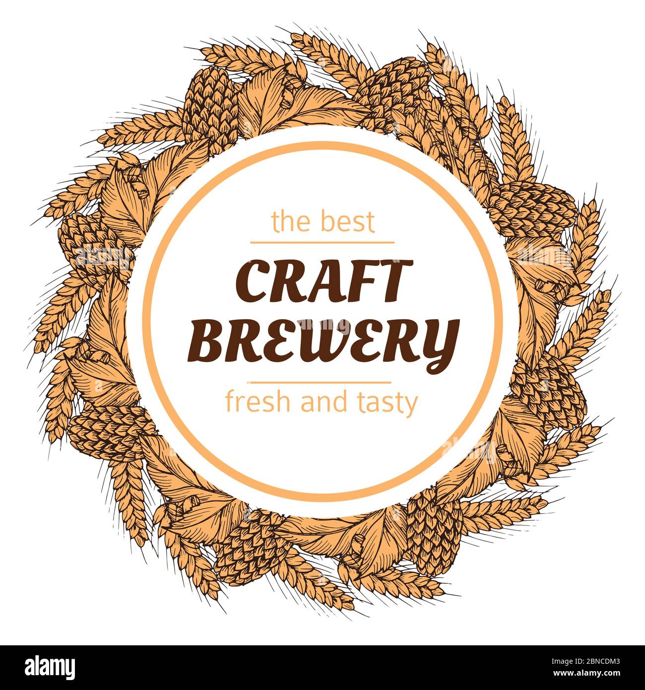 Doodle sketch brewery vintage vector round banner with hops and wheat. Brewery sketch emblem isolated illustration Stock Vector