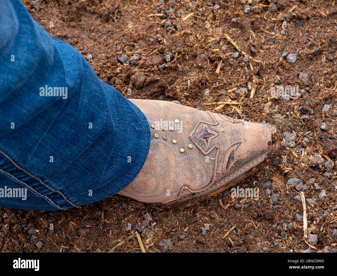 Brown, pointed cowboy boots Stock Photo - Alamy