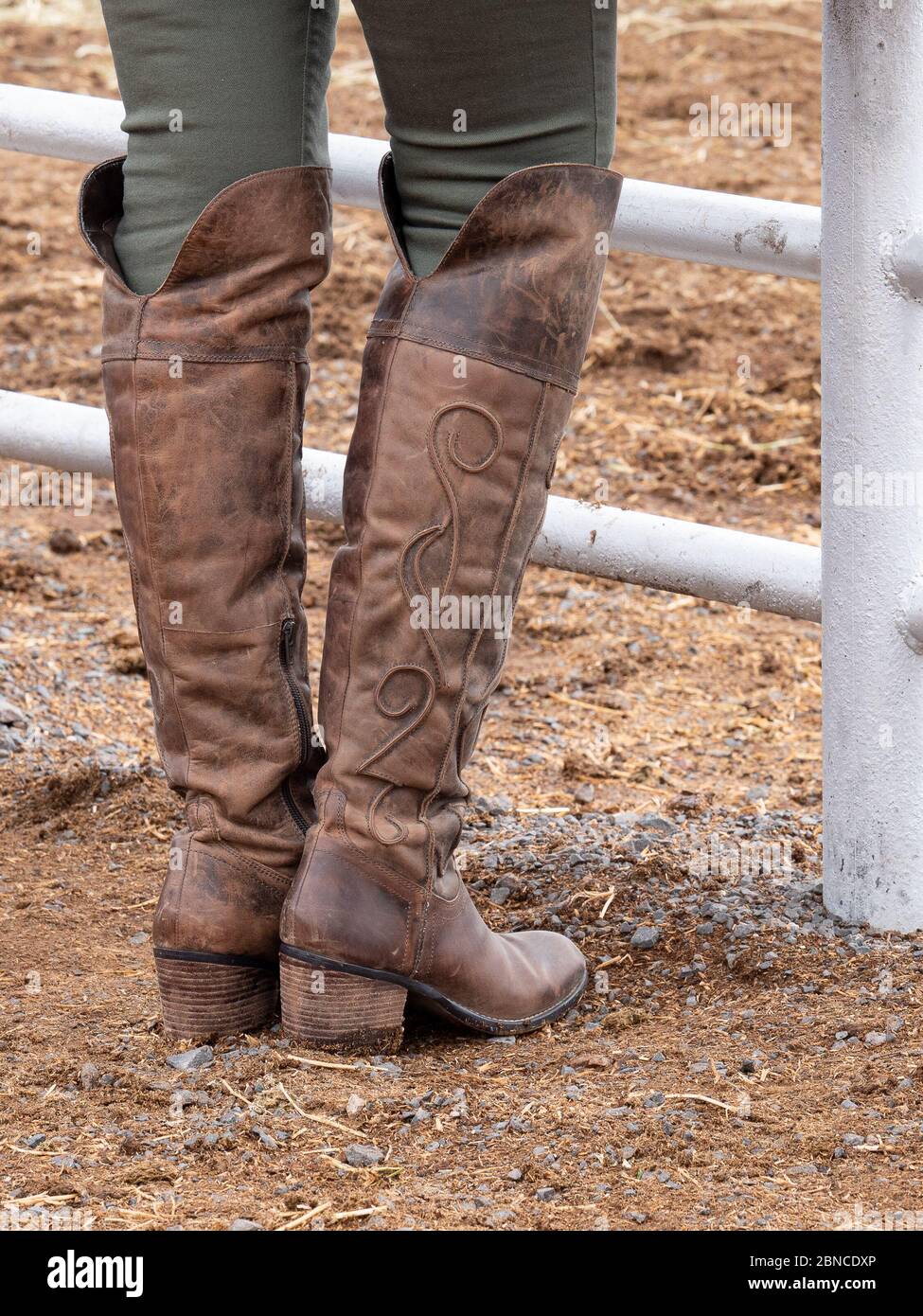 Knee length cowboy boots Stock Photo Alamy