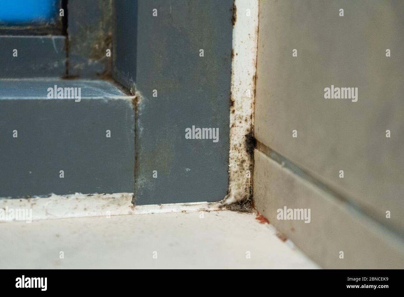 Old plastic window frame in the shower. Moldy angle, fungus. Problem