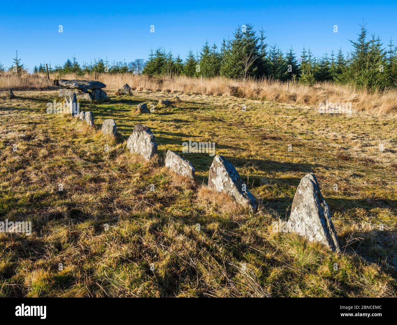Lakehead Kistvaen is a prehistoric burial chamber and stone row on Lakehead Hill, Bellever, in Dartmoor National Park, Devon, England, UK. Stock Photo