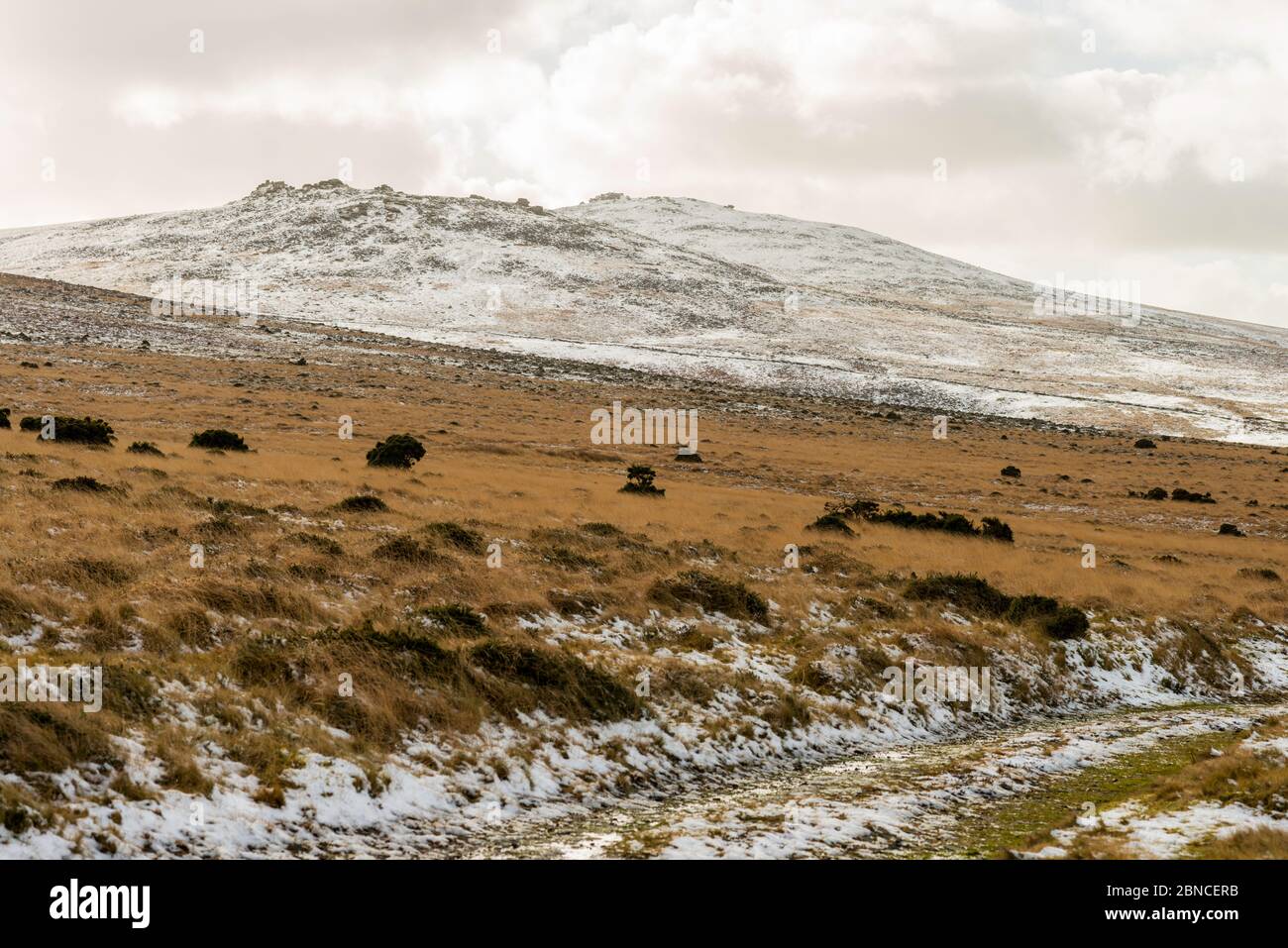 West Mill Tor, left, and Yes Tor, right, North Dartmoor winter moorland scenery, Dartmoor National Park, Devon, England, UK. Stock Photo