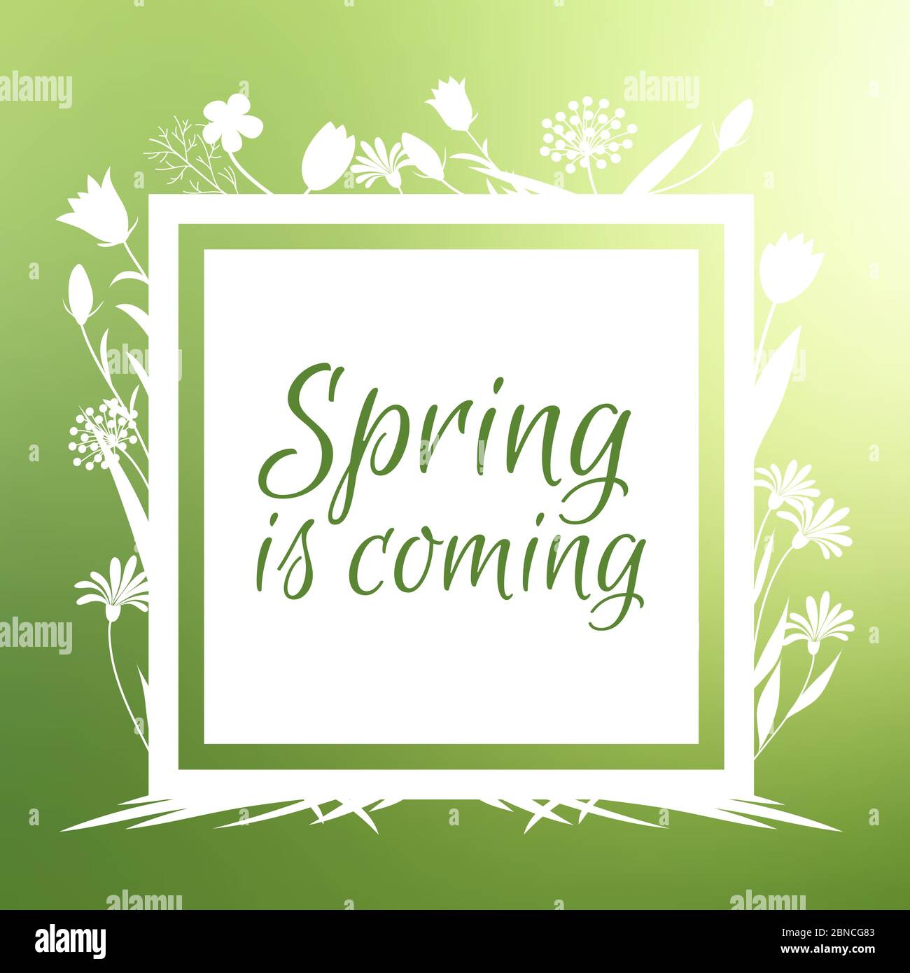 Spring is coming banner vector design with flowers sihouettes illustration isolated on green Stock Vector