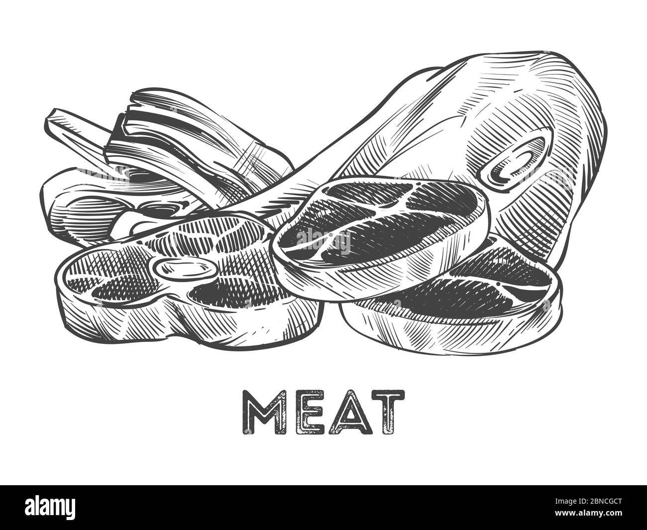 Hand drawn steak, ribs, fresh meat isolated on white background. Vector illustration Stock Vector