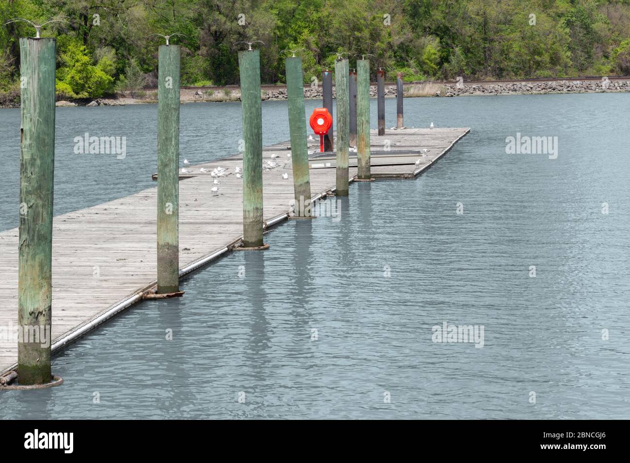 weathered, wooden dock extending into rippling lake water with green wooden pillars along the side, a bright red life preserver container and seagulls Stock Photo