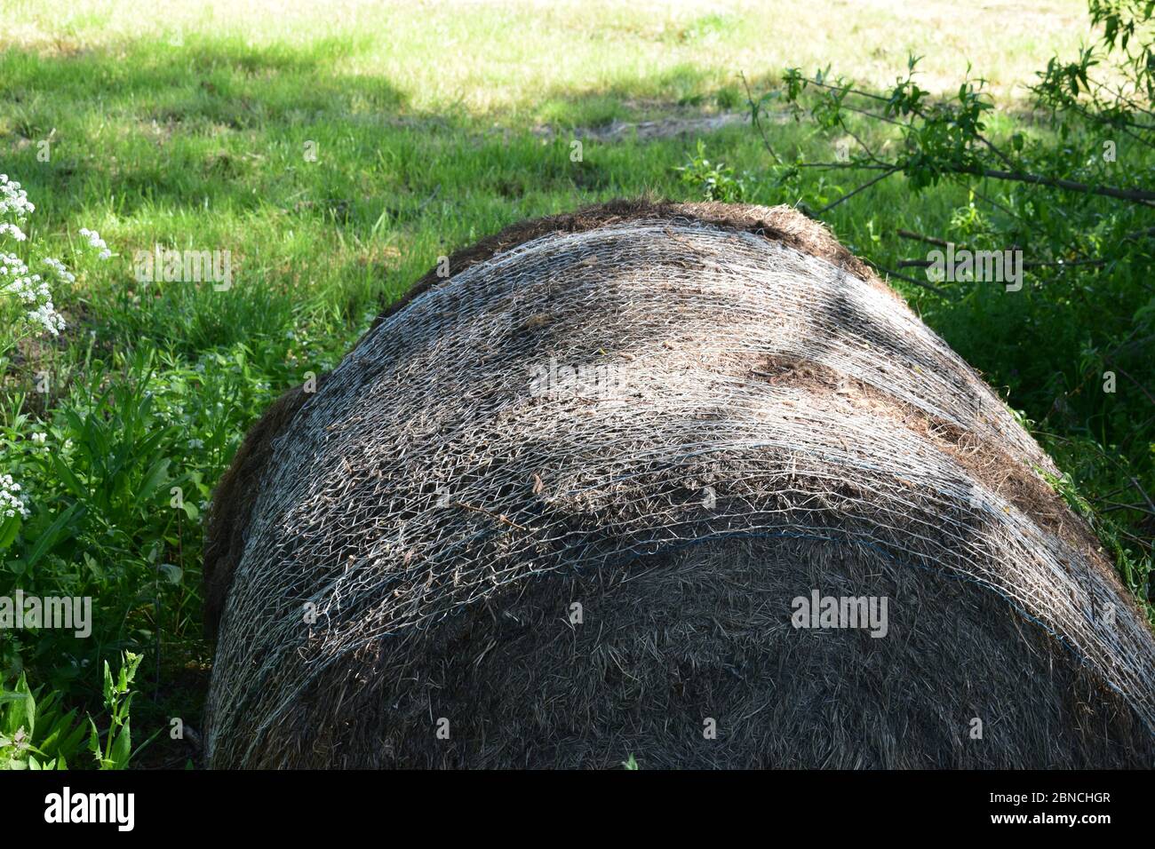 rotting straw bale Stock Photo Alamy