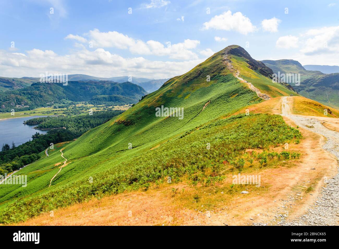 The ridge of Catbells in the Lake District with Derwentwater and Borrowdale below Stock Photo