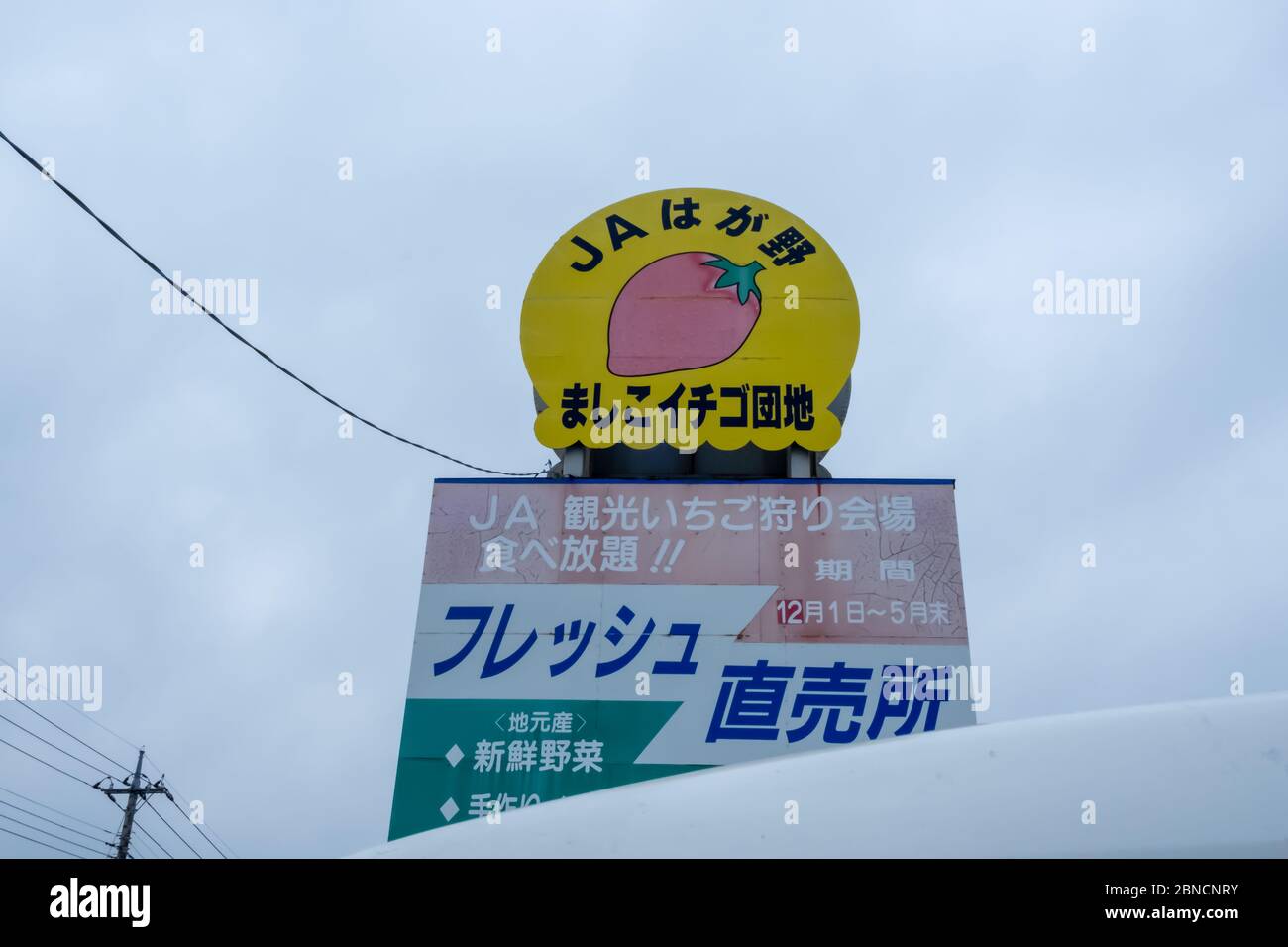 Tochigi, Japan - March 21, 2019: View of JA Hagano Mashiko Strawberry Picking farm sign and symbol in Mashiko, Tochigi, Japan. Stock Photo
