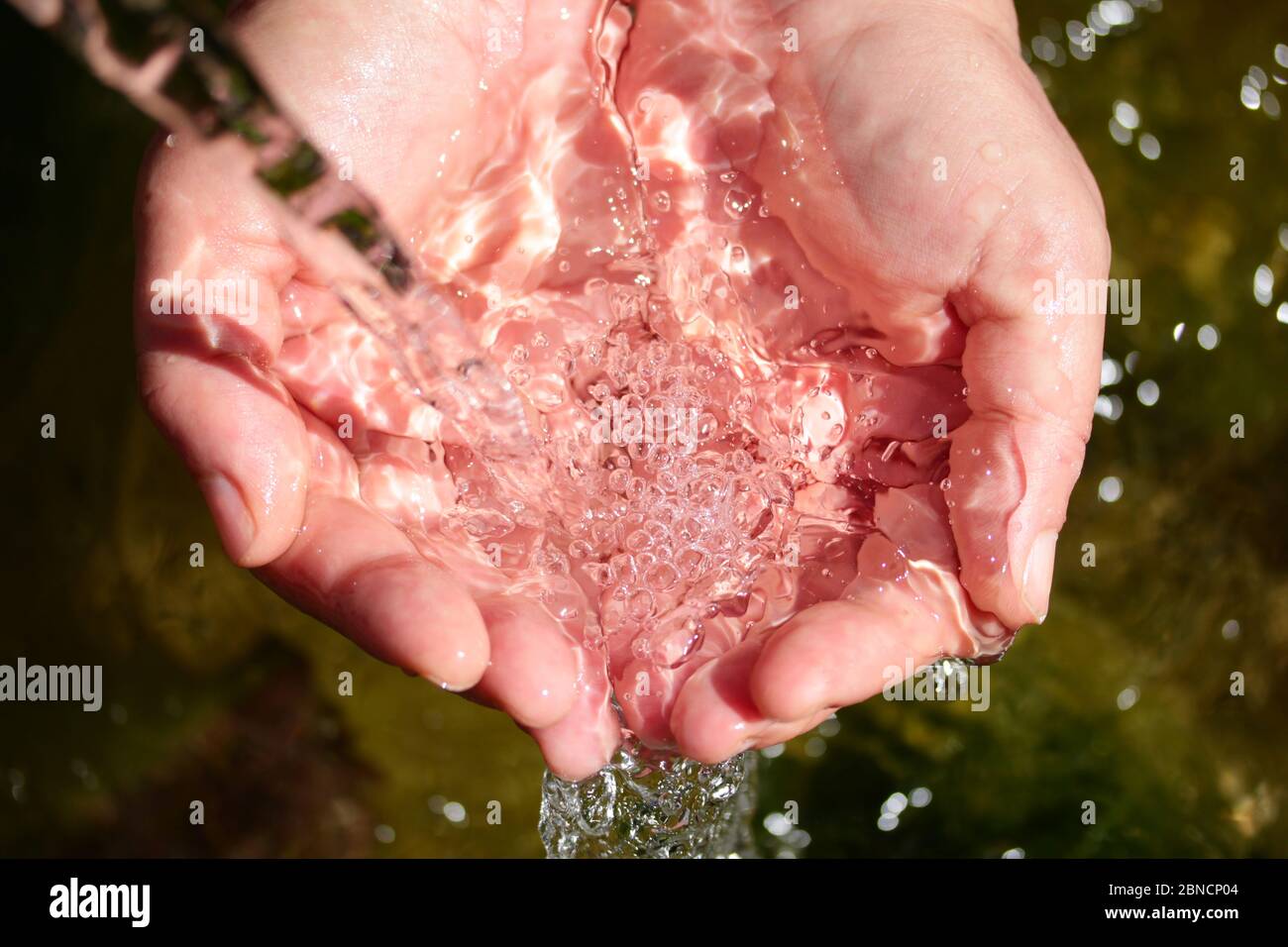 natural spring water in the hands Stock Photo Alamy