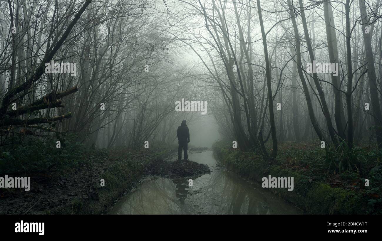 Man standing in a foggy forest hi-res stock photography and images - Alamy
