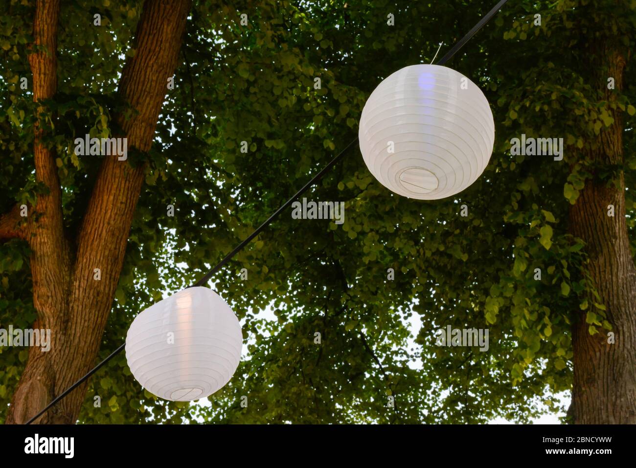 White paper lanterns lamps illuminated hanging outside in trees at a  festival party Stock Photo - Alamy