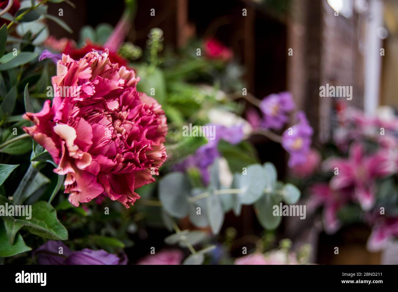 Special garden display hi-res stock photography and images - Alamy